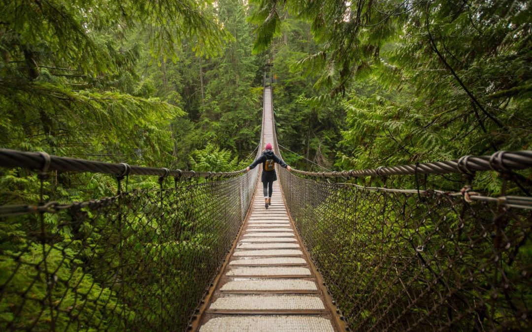 Equilibrando las valoraciones con los fundamentales  – Janus Henderson