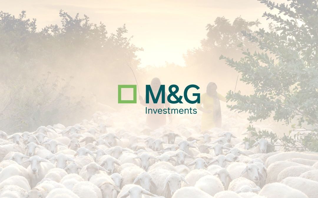 Esconderse entre la multitud podría ser peligroso