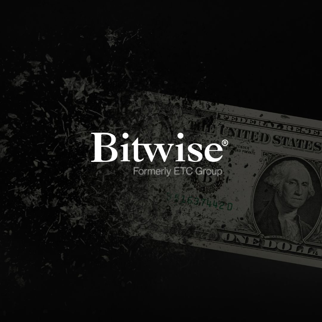 mensual mayo Desdolarización dinámica mayo bitwise