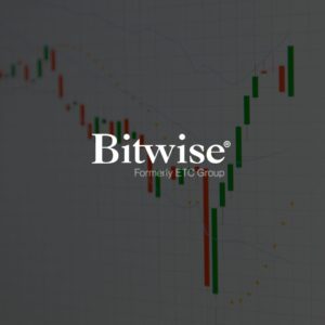 Bitwise volatilidad