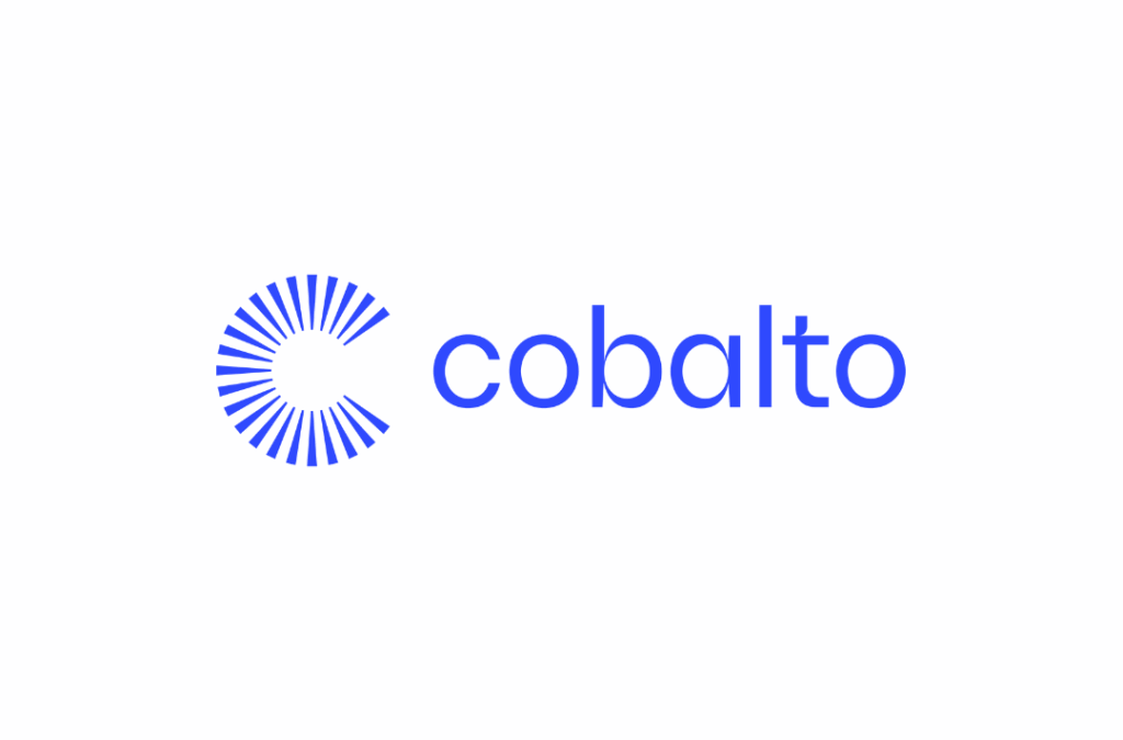 COBALTO INVERSIONES EAF