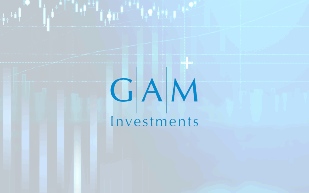 Private equity: de nicho a necesidad